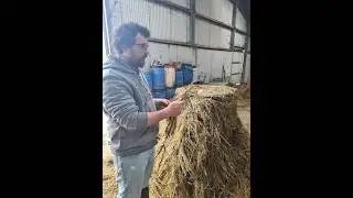 On the Way Back to Full-Time Farming Using Nature and Biology in Co. Kerry - Ambassador Tommy Reidy