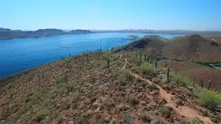 The Dam Good Run