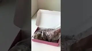 Amazon Wig Find. BLY #27 Color Deep Wave Lace Front Wig Unboxing