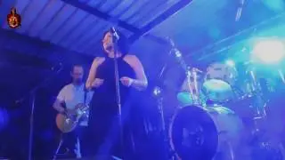 Fields of Gold Cover Mali Sewell