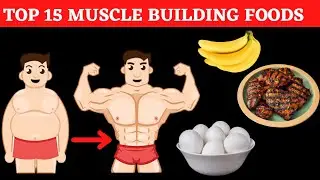 Top 15 Muscle Building Foods | Gain Muscle Mass | Elite Fitness