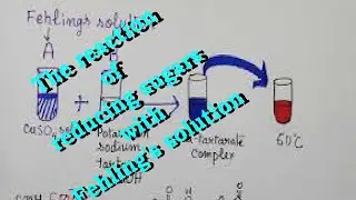 The reaction of reducing sugars with Fehling's solution ( with chemical equations)