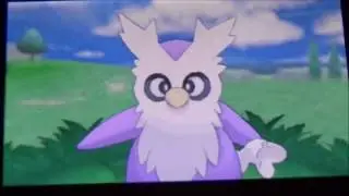 live shiny delibird reaction!!!