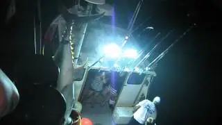Wicked Tuna -  Provincetown, MacMillan Pier  -  600 lb. Tuna Catch