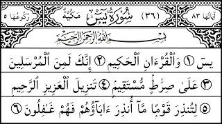 Surah Yaseen (Yaseen) | Serene & Gentle Quran Voice