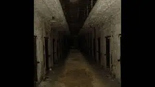 SCP 450 Screamer Ambience