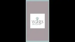 Tail Wags, Belly Rubs & Summer Smiles 🐶 Find Your Furry Soulmate at Wags About You!