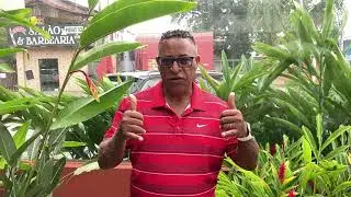 Boas Vindas - Familia DKH