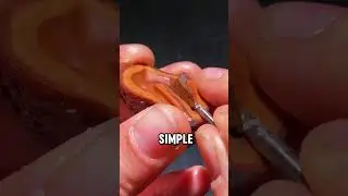 Dissect a Dark Glossy Rare Seeds #rarefruit