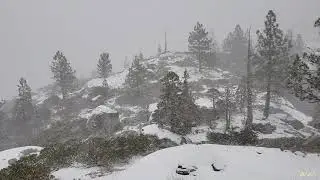 Sierra Nevada Snow Blizzard Closeup - Relaxation and Meditation