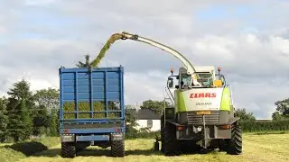 Sunny Silage - Class Jaguar Cutting silage 2020