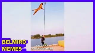 Belmiro Memes: Melhores dublagens engraçadas da semana 46