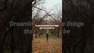 OneRepublic - Counting Stars