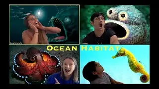 Sharks...Whales...and Fish...OH MY!!! OCEAN HABITATS with AxoSchools Virtual Science