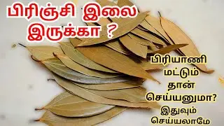 Waste Brinji Leaves + Areca bowl Craft Idea| Do this to bring a good smell in your house