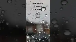 Relaxing Rainfall for Instant Peace 🌧️ | Rainy Ambience