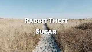 Rabbit Theft - Sugar