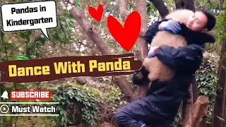 Needy Baby Panda Girl Asks Nanny To Dance With Her | iPanda