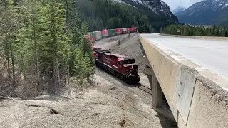 112 - CP 8132E @ Mile 133.0, CP Laggan Subdivision (Field, BC)