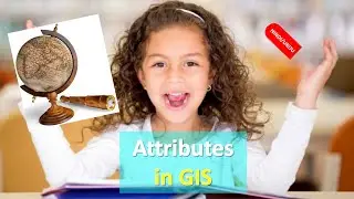 What is Attribute | Non spatial information in GIS | What are type of Attribute in GIS in HINDI URDU