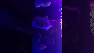 mc impulse