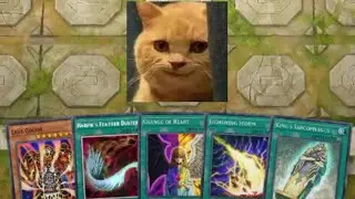 THESE OLD YUGIOH CARDS STILL BREAK MODERN YUGIOH! YUGIOH MASTER DUEL