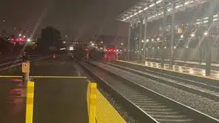 Amtrak & Sounder Action @ King Street Station 11/11/21