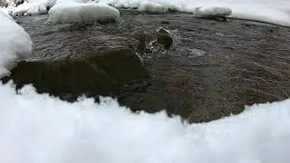 Winter Creek Sounds - For Relaxing, Sleeping. Natural Sounds for thoughtless moments