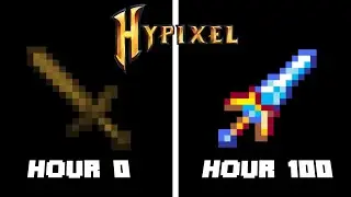 I Spent 100 Hours in Hypixel Skyblock!