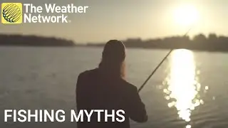 The science behind fishing myths to help reel in your next catch