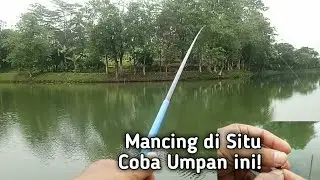 Mancing di setu?!  Coba umpan ini!!