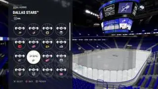 NHL&reg; 17 Dallas Stars Goal Horn
