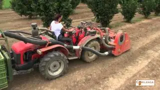 Video Corilanga Fiere