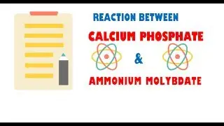 Calcium Phosphate and Ammonium Molybdate ( Reaction )