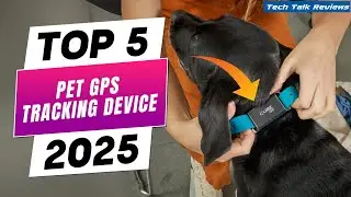 Top 5 Best Pet GPS Tracking Devices in 2025 🐾 (Keep Your Pets Safe Anywhere)