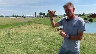 Farm Tour - #1 Chemical Free Farm
