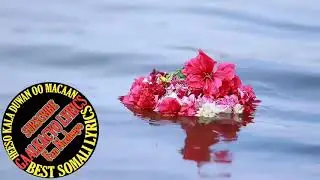 cumar dhuule subcis waa qaraami