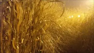 K Nass & Rafa'EL: Fields Of Hope (Stage Van H Remix)