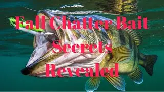 Fall Chatterbait Secrets Revealed