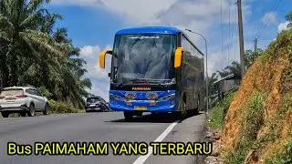 Bus PAIMAHAM Terbaru ,Semoga Semakin Jaya