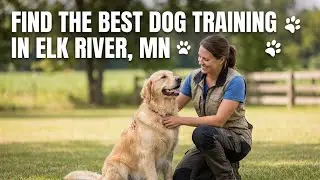 Find the Best Dog Training in Elk River Minnesota