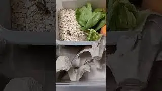 am facut un mediu de inmultire pentru greieri 🦗