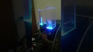 American song with waterspeaker.