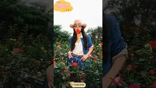 &ldquo;Cowgirl Chic Transformation: From Casual to Glam!&rdquo; #cowgirl #makeup #trending #shorts #blackpink