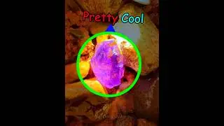 Best of Gem Finds
