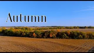 Autumn | Fall Season | 4K Video