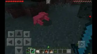 Wolf pack ambush!/Wolf pack encounter!