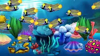 Fish Paradise Highlights