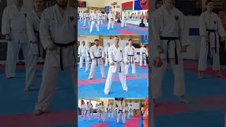 Heian Shodan #karate #piatsko #martialarts #空手道 #profi #kata #shotokan #budo #seminarpiatsko #sensei