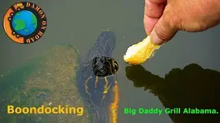 Big Daddy's Grill Fairhope Alabama.